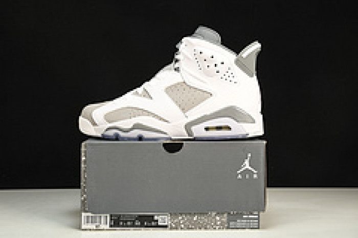 Air Jordan 6 “Cool Grey” CT8529-100