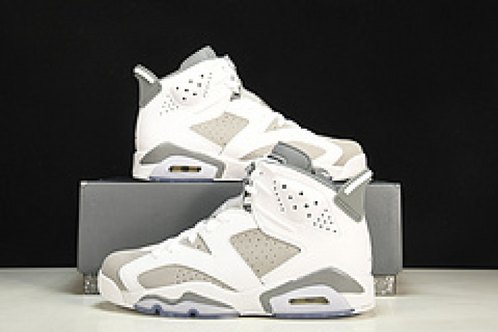 Air Jordan 6 “Cool Grey” CT8529-100