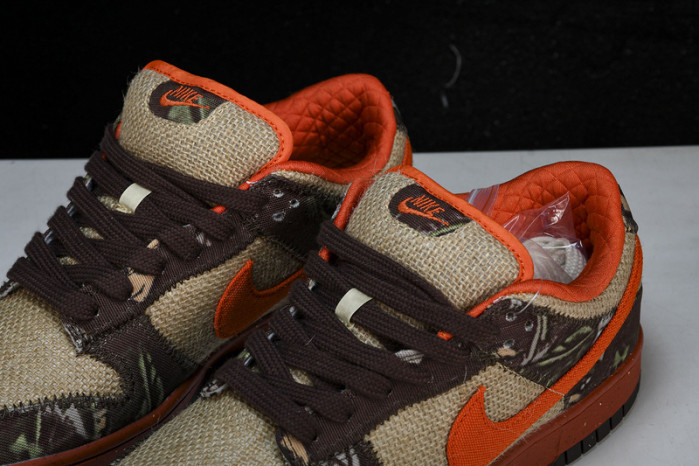 NIKE DUNK LOW PRO SB 304292-281