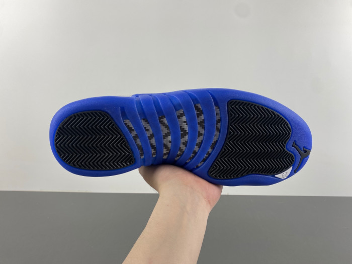 Air Jordan 12  CT8013-116