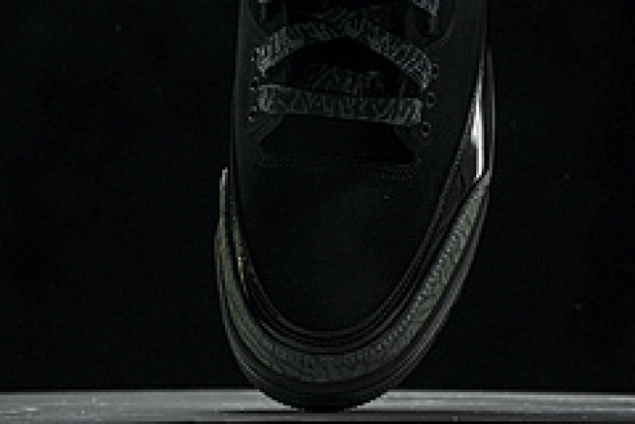 AIR JORDAN 3   CK9246-168