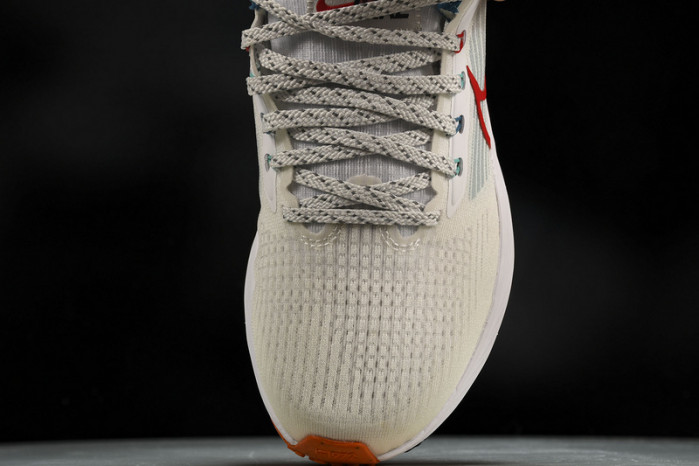 Nk Air Zoom Pegasus 39 FD4322-161