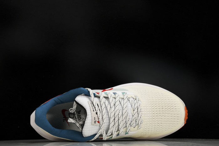 Nk Air Zoom Pegasus 39 FD4322-161
