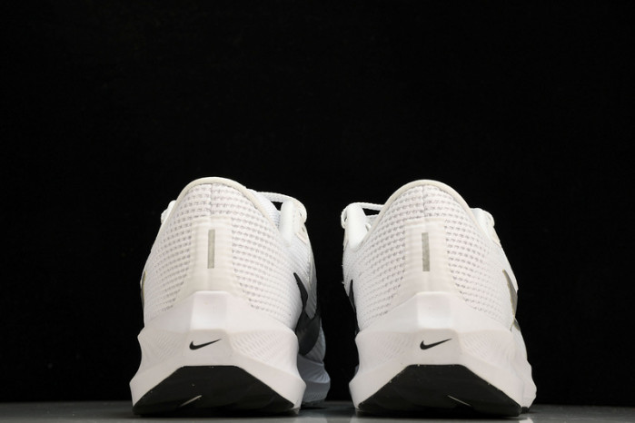 NK Air Zoom Pegasus 40  DV3853-102