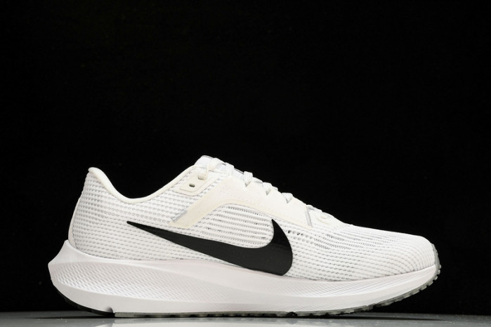 NK Air Zoom Pegasus 40  DV3853-102