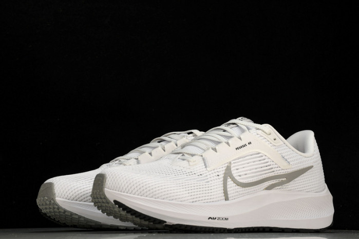 NK Air Zoom Pegasus 40  DV3853-102