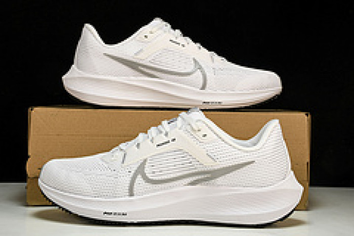 NK Air Zoom Pegasus 40  DV3853-102