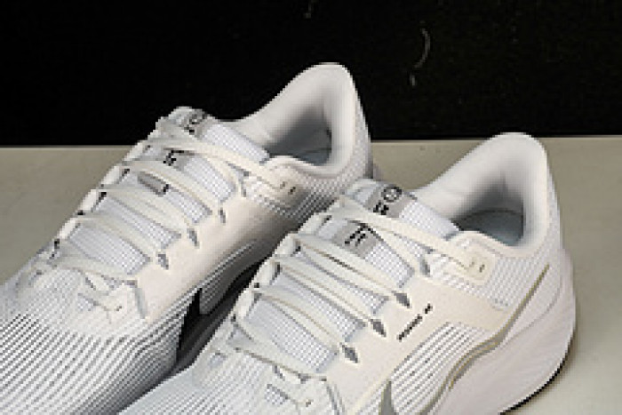 NK Air Zoom Pegasus 40  DV3853-102