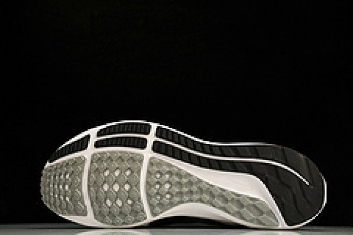 NK Air Zoom Pegasus 40  DV3853-102