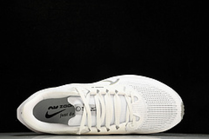 NK Air Zoom Pegasus 40  DV3853-102