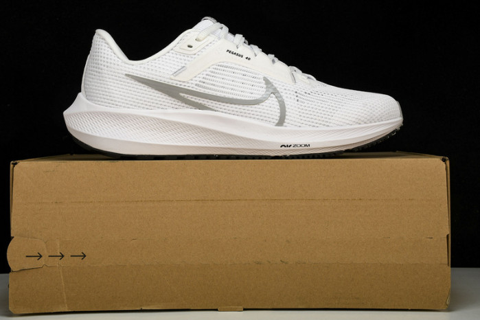 NK Air Zoom Pegasus 40  DV3853-102