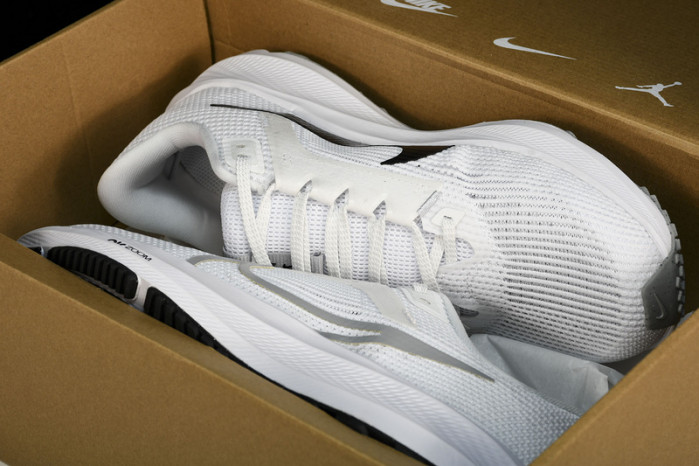 NK Air Zoom Pegasus 40  DV3853-102