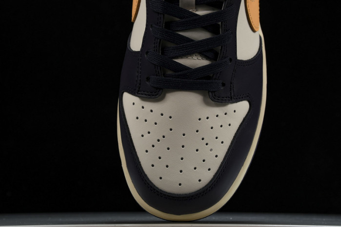 NK DUNK LOW FV8106-181