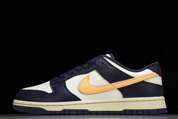 NK DUNK LOW FV8106-181