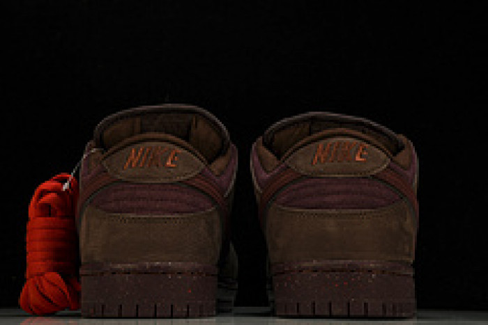 NK SB Dunk Low FN0619-600