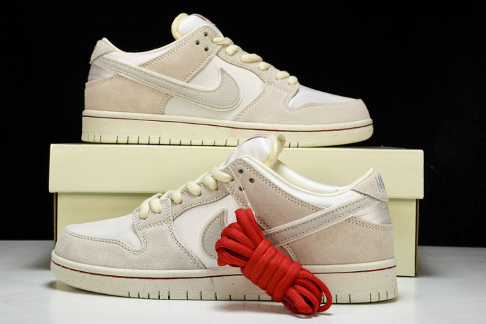 Nike Sb Dunk Low  FZ5654-100