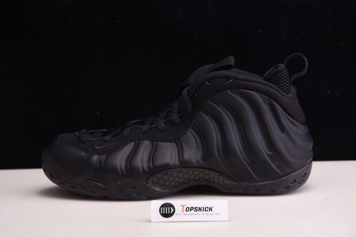 Air Foamposite One ''Black'' 314996-001