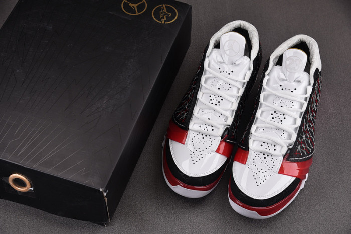 Titan x Air Jordan 23 318376-061
