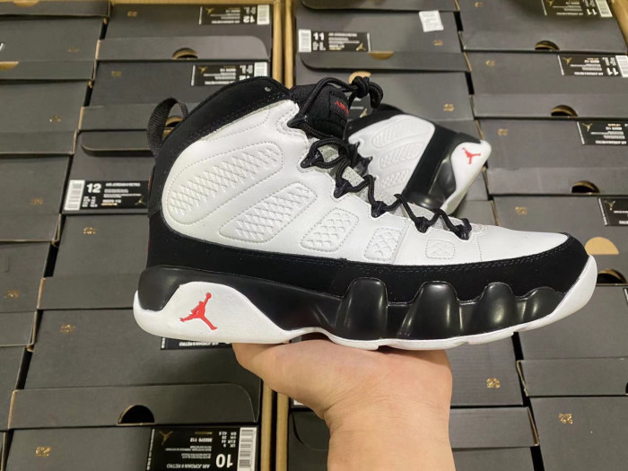 Air Jordan 9 302370-112