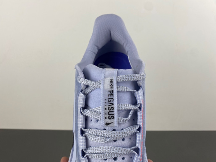Nike Pegasus Premium 